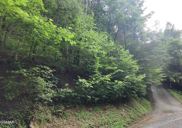 Photo 2 of Land for sale at 0 Old Hag Holw Way, Sevierville, TN 37876 | MLS# 3280789 | Listing updated on 2026-09-11