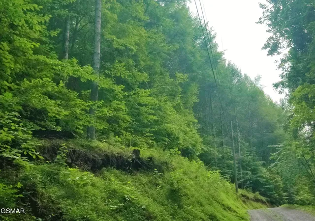 Photo 3 of Land for sale at 0 Old Hag Holw Way, Sevierville, TN 37876 | MLS# 3280789 | Listing updated on 2026-09-11