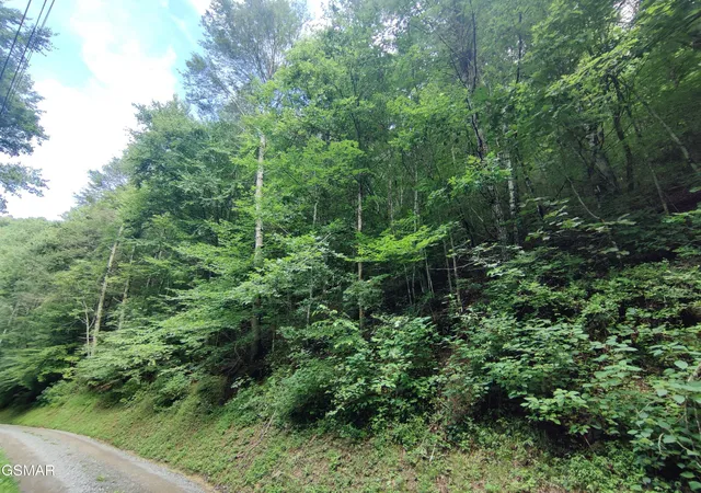 Photo 4 of Land for sale at 0 Old Hag Holw Way, Sevierville, TN 37876 | MLS# 3280789 | Listing updated on 2026-09-11