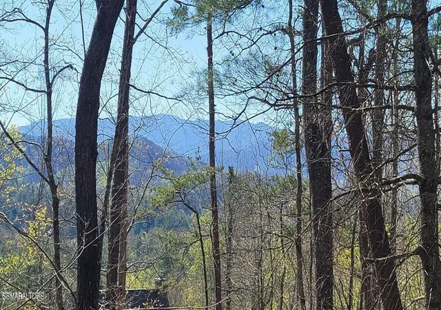 Photo 2 of Sale Pending at 0 Chinquapin Dr, Sevierville, TN 37876 | MLS# 3591735 | Listing updated on 2026-09-22