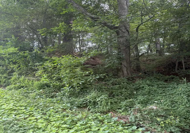 Photo 3 of Land for sale at 143 Randolph Fridley Rd, Sweetwater, TN 37874 | MLS# 3299499 | Listing updated on 2026-09-11