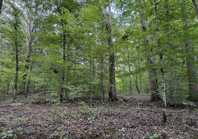 Photo 1 of Land for sale at 995 Hurricane Crk Rd, Stewart, TN 37175 | MLS# 3305440 | Listing updated on 2026-10-08