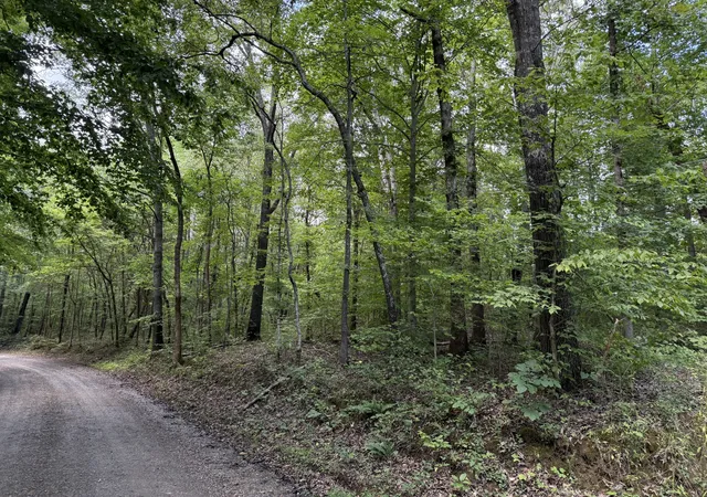 Photo 2 of Land for sale at 995 Hurricane Crk Rd, Stewart, TN 37175 | MLS# 3305440 | Listing updated on 2026-10-08