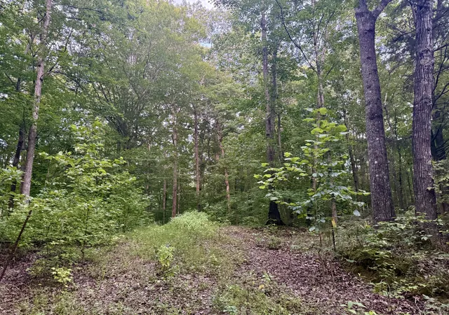Photo 3 of Land for sale at 995 Hurricane Crk Rd, Stewart, TN 37175 | MLS# 3305440 | Listing updated on 2026-10-08