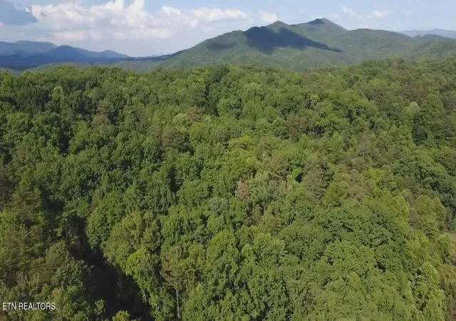 Photo 1 of Land for sale at 0 Fox Hunters Ln, Sevierville, TN 37876 | MLS# 3536076 | Listing updated on 2026-09-11