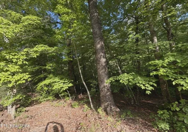 Photo 2 of Land for sale at 0 Fox Hunters Ln, Sevierville, TN 37876 | MLS# 3536076 | Listing updated on 2026-09-11