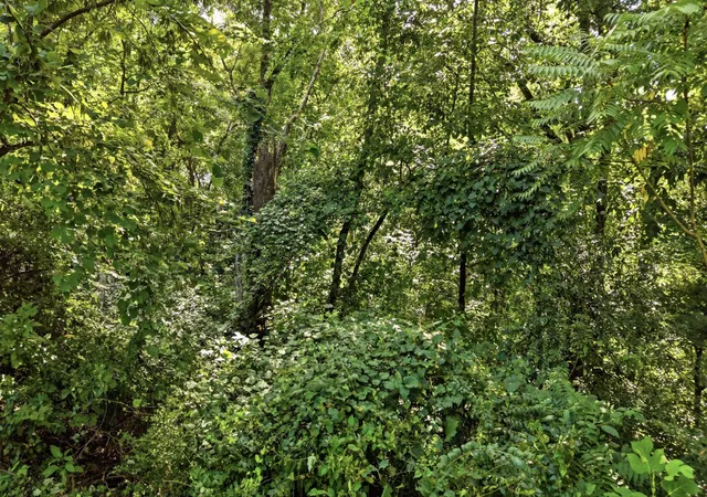 Photo 3 of Land for sale at 1430 Gold Crst Dr, Hixson, TN 37343 | MLS# 3304564 | Listing updated on 2026-09-11
