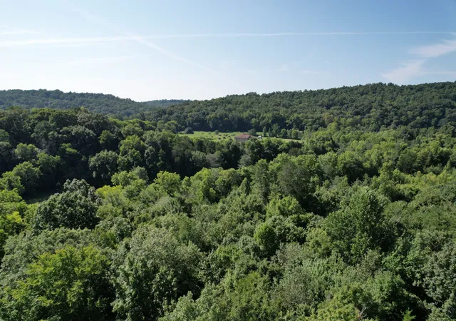 Photo 2 of Land for sale at 675 Eblen Cave Rd, Lenoir City, TN 37771 | MLS# 3314421 | Listing updated on 2026-09-14