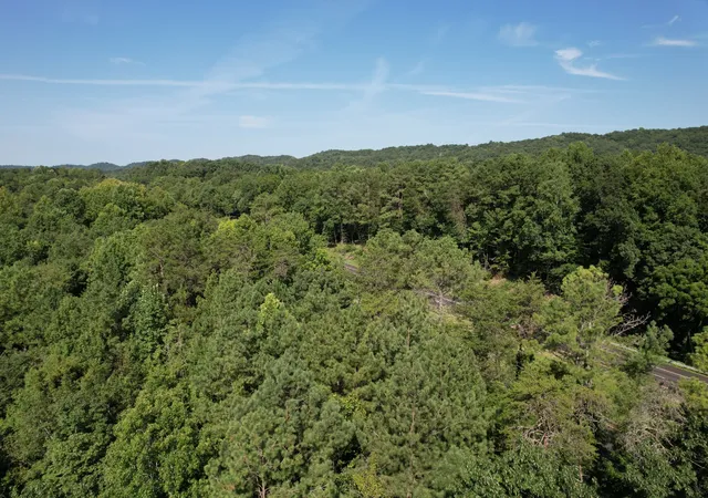 Photo 3 of Land for sale at 675 Eblen Cave Rd, Lenoir City, TN 37771 | MLS# 3314421 | Listing updated on 2026-09-14