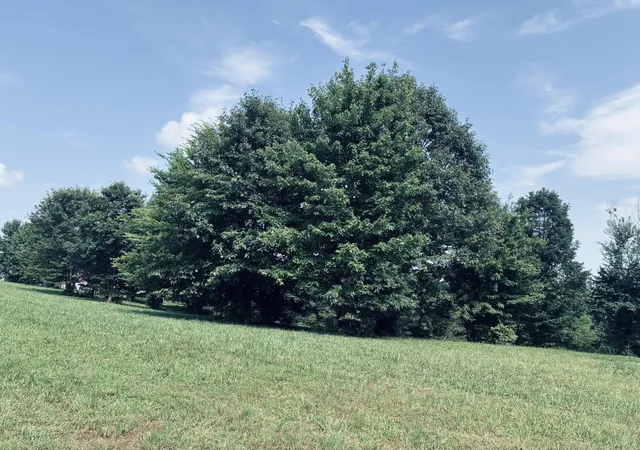 Photo 2 of Land for sale at 800 Sunset Cir, Jasper, TN 37347 | MLS# 3320200 | Listing updated on 2026-09-11