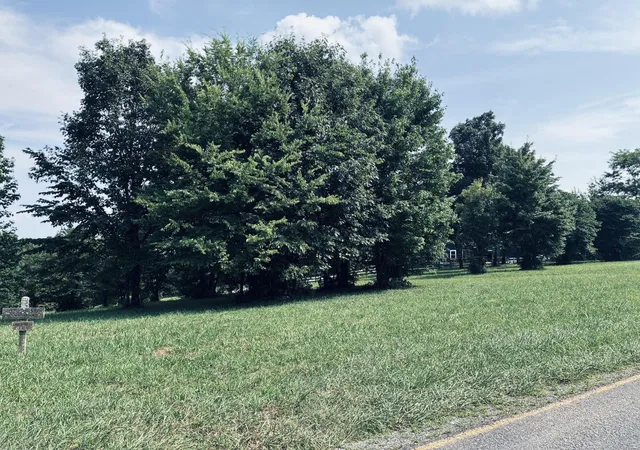 Photo 4 of Land for sale at 800 Sunset Cir, Jasper, TN 37347 | MLS# 3320200 | Listing updated on 2026-09-11