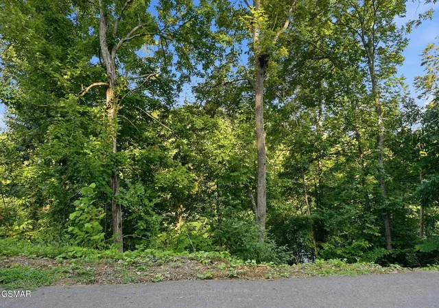 Photo 2 of Land for sale at 244 Jolene Way, Sevierville, TN 37876 | MLS# 3320650 | Listing updated on 2026-09-11