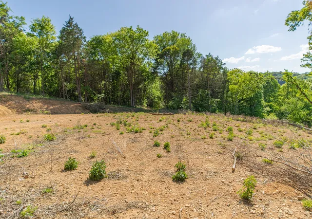 Land for sale at 0 Globe Rd, Lewisburg, TN 37091 | MLS# 3387582