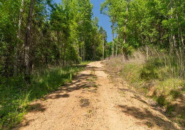 Photo 2 of Land for sale at 0 Globe Rd, Lewisburg, TN 37091 | MLS# 3387582 | Listing updated on 2026-09-22