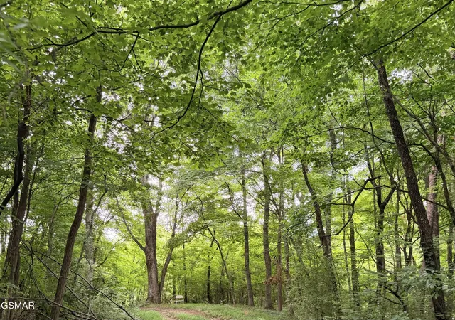 Photo 1 of Land for sale at 0 East Hwy 25 70, Newport, TN 37821 | MLS# 3333838 | Listing updated on 2026-09-11