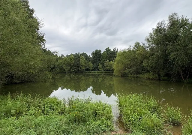 Photo 3 of Manufactured home for sale at 375 Ables Rd, Cottage Grove, TN 38224 | MLS# 3333886 | Listing updated on 2026-09-14