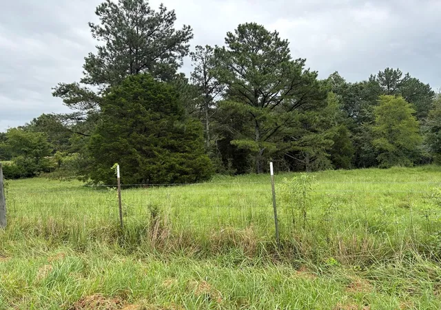 Photo 3 of Manufactured home for sale at 375 Ables Rd, Cottage Grove, TN 38224 | MLS# 3333886 | Listing updated on 2026-09-14
