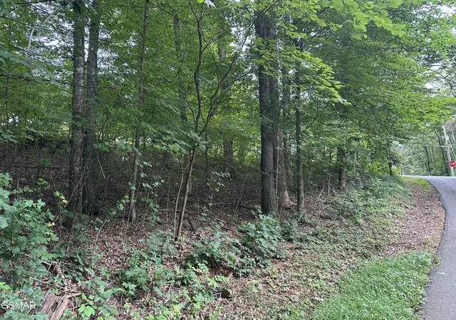 Photo 1 of Land for sale at 75 Highpoint Dr, Sevierville, TN 37876 | MLS# 3336321 | Listing updated on 2026-09-11