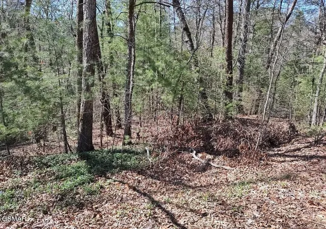 Photo 1 of Land for sale at 10 John Boy Trl, Sevierville, TN 37862 | MLS# 3336351 | Listing updated on 2026-09-11