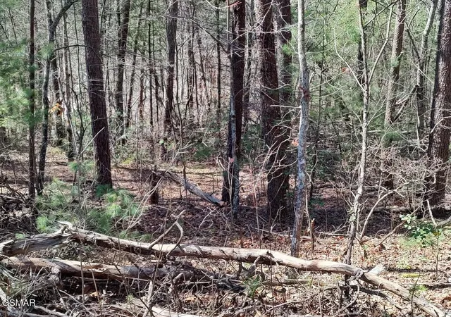 Photo 3 of Land for sale at 10 John Boy Trl, Sevierville, TN 37862 | MLS# 3336351 | Listing updated on 2026-09-11