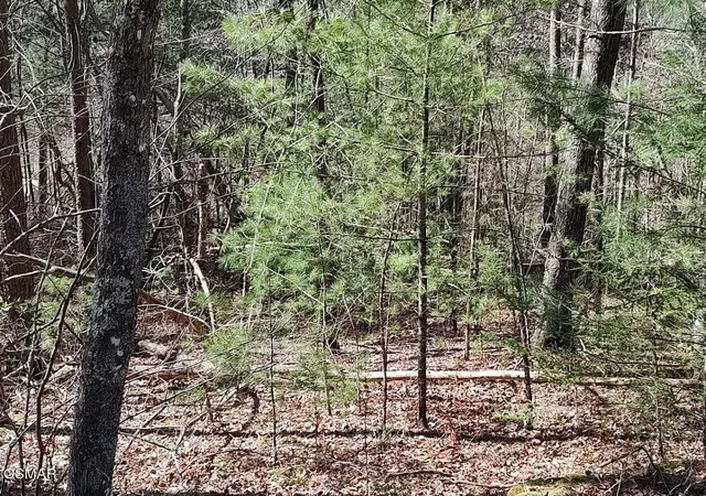 Photo 4 of Land for sale at 10 John Boy Trl, Sevierville, TN 37862 | MLS# 3336351 | Listing updated on 2026-09-11