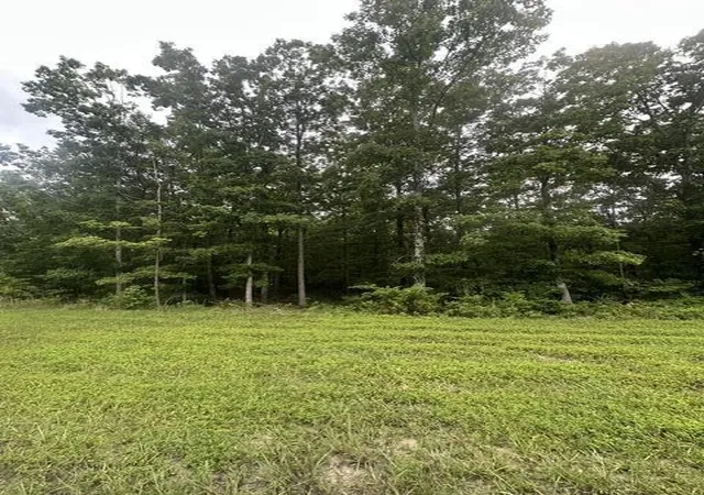 Photo 1 of Land for sale at 198 Kyuga Dr, South Pittsburg, TN 37380 | MLS# 3499698 | Listing updated on 2026-09-11