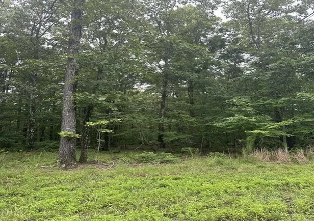 Photo 2 of Land for sale at 198 Kyuga Dr, South Pittsburg, TN 37380 | MLS# 3499698 | Listing updated on 2026-09-11