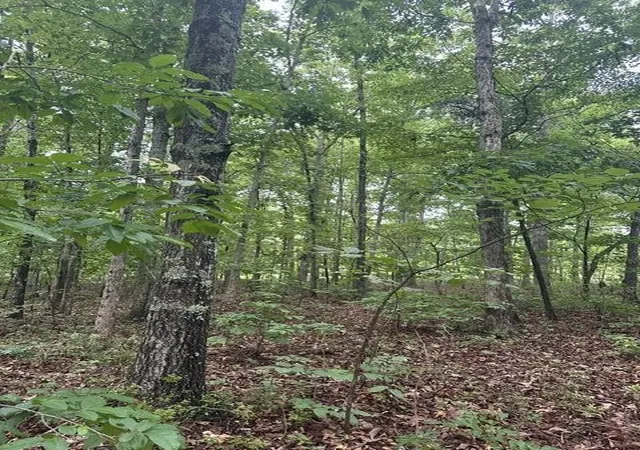 Photo 3 of Land for sale at 198 Kyuga Dr, South Pittsburg, TN 37380 | MLS# 3499698 | Listing updated on 2026-09-11