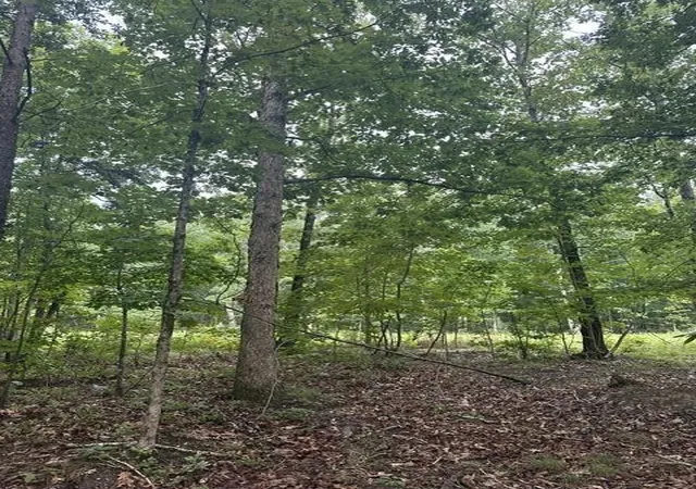 Photo 4 of Land for sale at 198 Kyuga Dr, South Pittsburg, TN 37380 | MLS# 3499698 | Listing updated on 2026-09-11