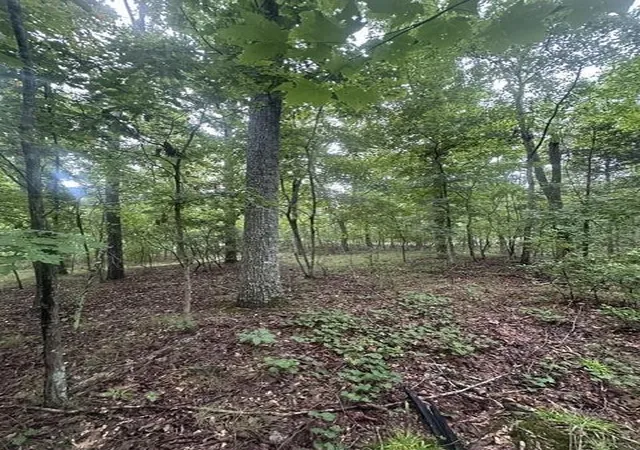 Photo 1 of Land for sale at 108 Chesadu Cir, South Pittsburg, TN 37380 | MLS# 3499711 | Listing updated on 2026-09-11