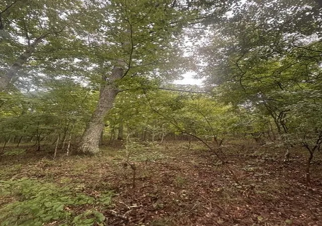 Photo 2 of Land for sale at 108 Chesadu Cir, South Pittsburg, TN 37380 | MLS# 3499711 | Listing updated on 2026-09-11