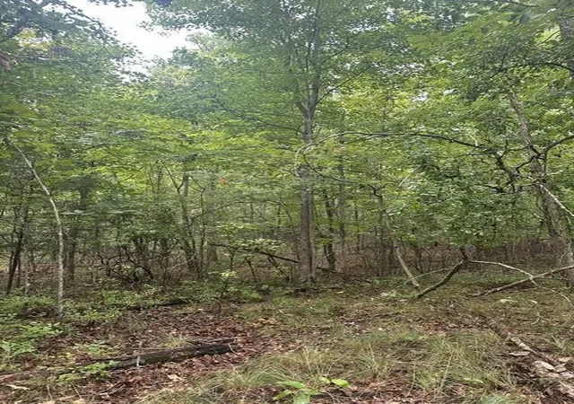 Photo 4 of Land for sale at 108 Chesadu Cir, South Pittsburg, TN 37380 | MLS# 3499711 | Listing updated on 2026-09-11