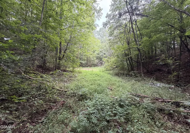 Photo 3 of Land for sale at 15 Frg Hideaway Rd, Pigeon Forge, TN 37863 | MLS# 3500974 | Listing updated on 2026-09-11