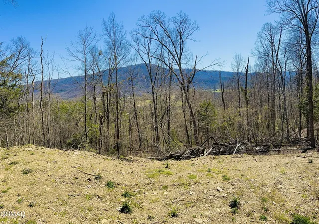Photo 1 of Land for sale at 0 Quail Way, Sevierville, TN 37862 | MLS# 3528401 | Listing updated on 2026-09-11