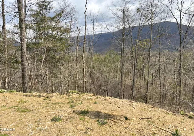 Photo 2 of Land for sale at 0 Quail Way, Sevierville, TN 37862 | MLS# 3528401 | Listing updated on 2026-09-11