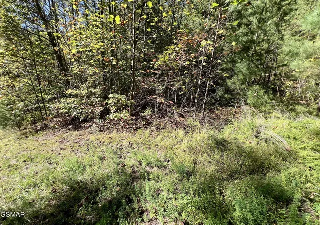 Photo 1 of Land for sale at 561 Crk Holw Way, Sevierville, TN 37876 | MLS# 3591776 | Listing updated on 2026-10-12