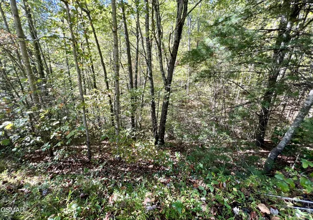Photo 1 of Land for sale at 6 Crk Holw Way, Sevierville, TN 37876 | MLS# 3591778 | Listing updated on 2026-10-12