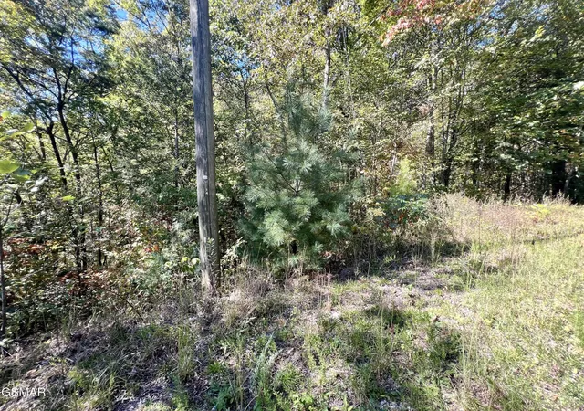Photo 2 of Land for sale at 6 Crk Holw Way, Sevierville, TN 37876 | MLS# 3591778 | Listing updated on 2026-10-12