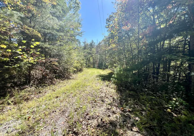 Photo 3 of Land for sale at 6 Crk Holw Way, Sevierville, TN 37876 | MLS# 3591778 | Listing updated on 2026-10-12