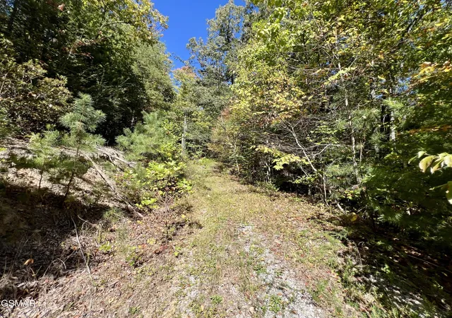 Photo 4 of Land for sale at 6 Crk Holw Way, Sevierville, TN 37876 | MLS# 3591778 | Listing updated on 2026-10-12
