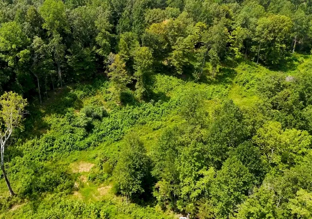 Photo 4 of Land for sale at 0 Reddon Xing, Charlotte, TN 37036 | MLS# 3513223 | Listing updated on 2026-09-11