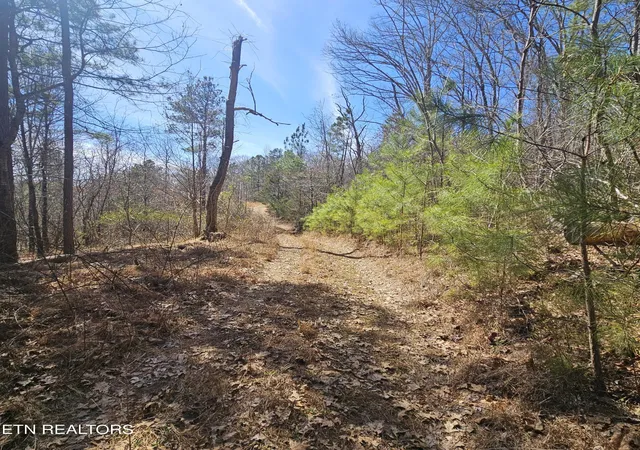 Photo 2 of Land for sale at 0 Lick Crk Rd, Tellico Plains, TN 37385 | MLS# 3510759 | Listing updated on 2026-10-03