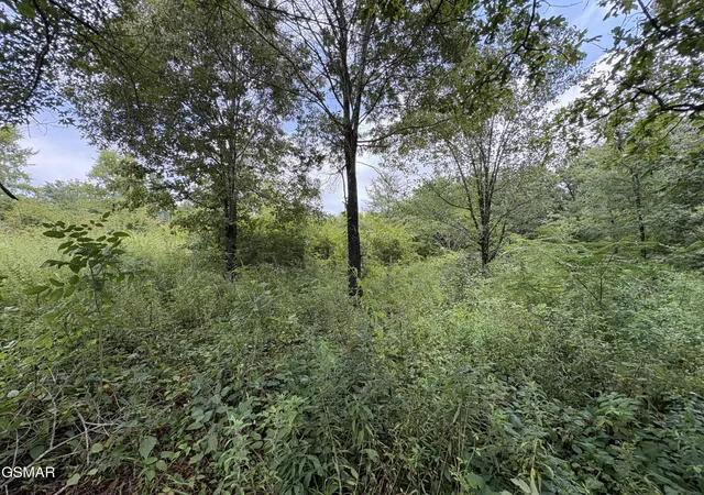 Photo 3 of Sale Pending at 3 Midway Rd, Strawberry Plains, TN 37871 | MLS# 3591779 | Listing updated on 2026-09-14