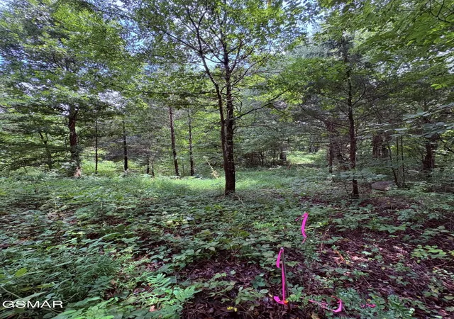 Photo 4 of Sale Pending at 4 Midway Rd, Strawberry Plains, TN 37871 | MLS# 3591781 | Listing updated on 2026-09-14