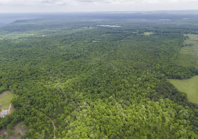 Photo 3 of Land for sale at 2361 Colony Rd, Gruetli Laager, TN 37339 | MLS# 3508036 | Listing updated on 2026-10-09