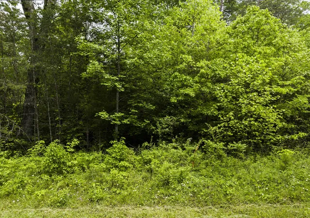 Photo 4 of Land for sale at 2361 Colony Rd, Gruetli Laager, TN 37339 | MLS# 3508036 | Listing updated on 2026-10-09