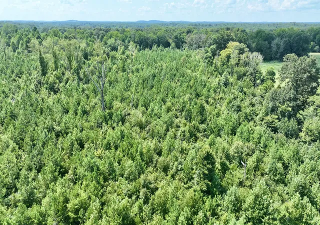 Photo 4 of Land for sale at 0 Old Federal Rd, Old Fort, TN 37362 | MLS# 3508042 | Listing updated on 2026-09-11
