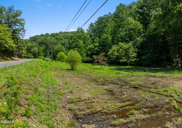 Photo 4 of Land for sale at 0 Jones Cvs Rd, Sevierville, TN 37876 | MLS# 3591790 | Listing updated on 2026-09-24