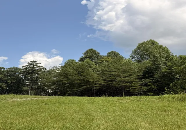 Land for sale at 12 Old Harris Turnpike Rd, South Pittsburg, TN 37380 | MLS# 3531197