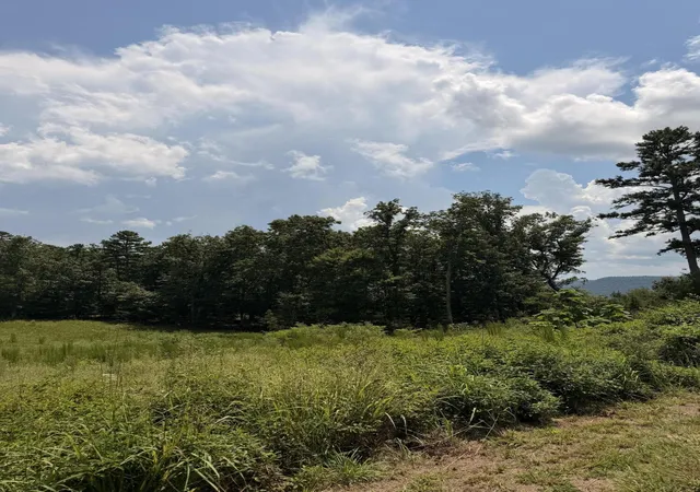 Photo 3 of Land for sale at 12 Old Harris Turnpike Rd, South Pittsburg, TN 37380 | MLS# 3531197 | Listing updated on 2026-10-05